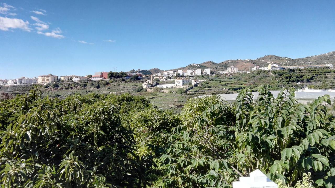 Casa Paloma Blanca Βίλα Μάλαγα Εξωτερικό φωτογραφία